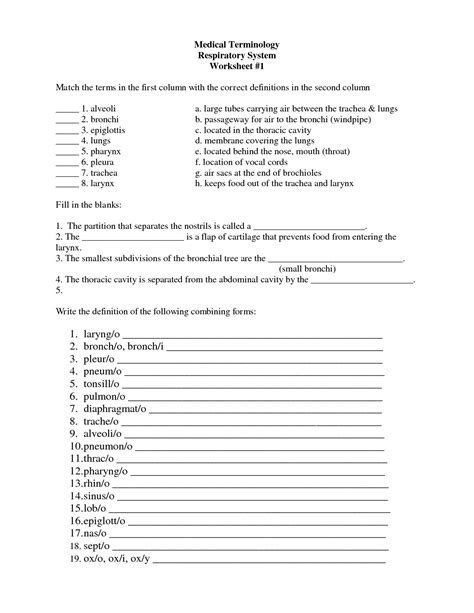 Medical Terminology Suffixes Worksheet —