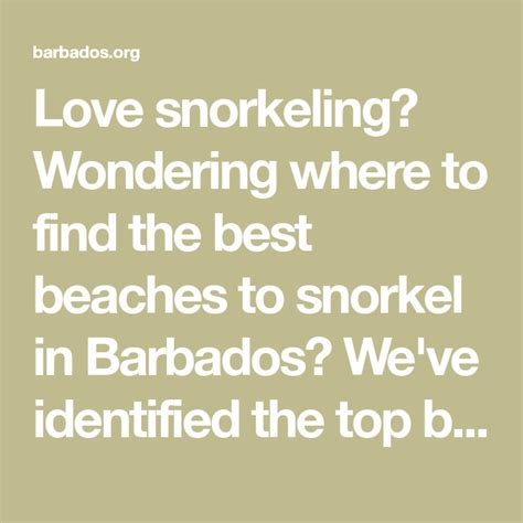 love snorkeling wondering where to find the best beaches to snorkel in barbados we ve