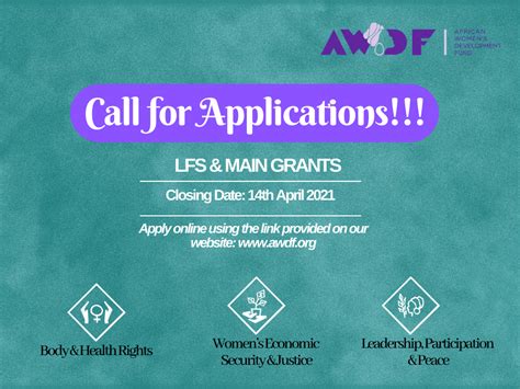 call for proposals lfs and main grants the african women s development fund