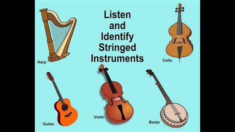 Identify Stringed Instruments Youtube