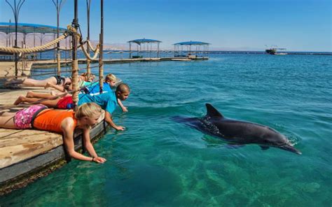 Dolphin Reef Beach Red Sea Israel World Beach Guide