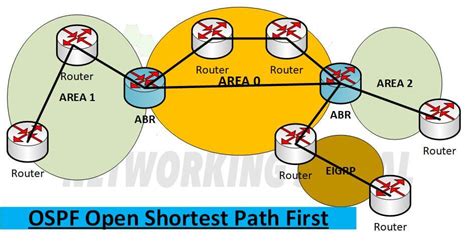 Ospf States Of Open Shortest Path First With Basic Guide The Best