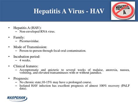 Ppt Viral Hepatitis Powerpoint Presentation Free Download Id