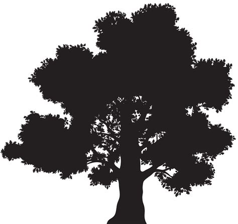 Oak Tree Drawing Clip Art Silhouettes Clipart Png Download 8000