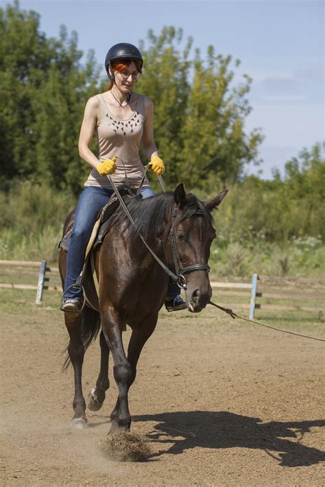 How To Prevent Injuries On Your Horseback Riding Adventures In Your