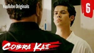 It would be also very normal, happens to a lot of shows. Nonton Cobra Kai Season 2 Episode 6 Subtitle Indonesia ...