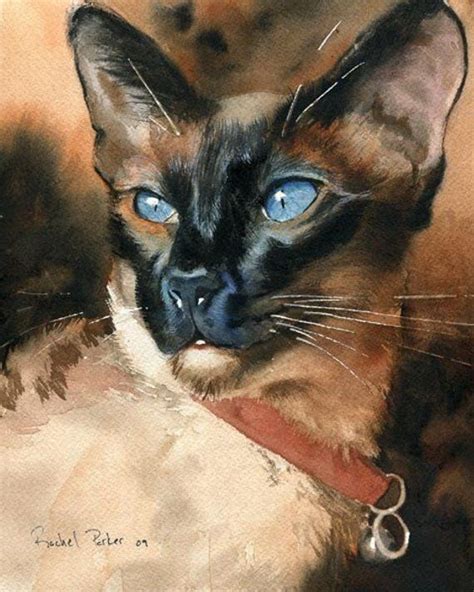 Siamese Cat Seal Point Art Painting Print Of My Watercolor Painting