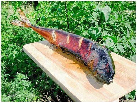 Рыба горячего копчения при диете РЫБА ГОРЯЧЕГО КОПЧЕНИЯ | Самые вкусные кулинарные рецепты РЫБА ГОРЯЧЕГО КОПЧЕНИЯ | Самые вкусные кулинарные рецепты Рыба горячего копчения при диете