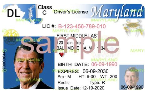 Maryland Driver License Template For Online Accounts
