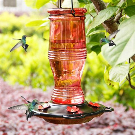 Golden Home Glass Hummingbird Feeders For Outdoors 26 Oz Wild Bird