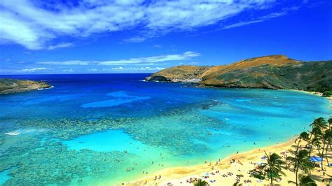 ハナウマ湾ハワイ 写真のデスクトップ壁紙プレビュー