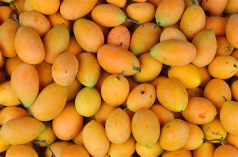 An Abundance Of Mangoes Mango Images Fruits Images Mangoes
