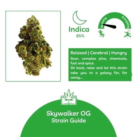 Skywalker Og Strain Skywalker Kush Cannabis Uk Cbd Bible