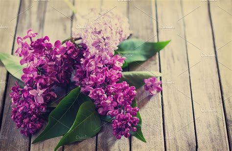 Beautiful Fresh Lilac Violet Flowers High Quality Arts