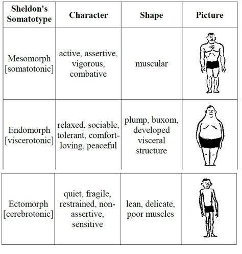 Somatotypes Test How To Exercise And Eat For Your Body