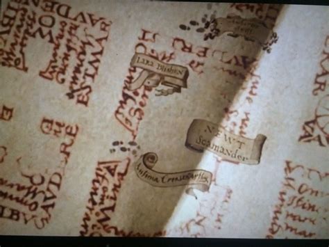 Newt Scamanders Name Can Be Found On The Mauraders Map In The Corner In