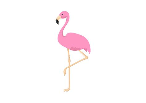 Pink Flamingo Vector Illustration Superawesomevectors