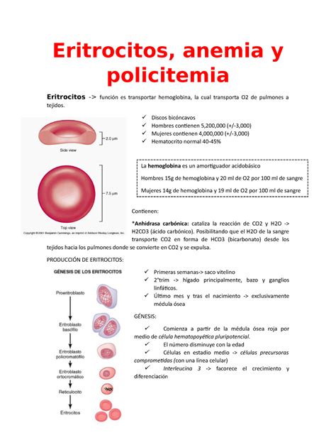 Cap 33 Eritos Anemia Y Policitemia Eritrocitos Anemia Y Policitemia