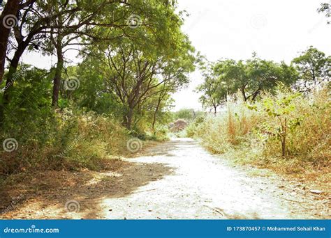 Dirty Pathway In Historical Fort Dirty Road View Background Stock