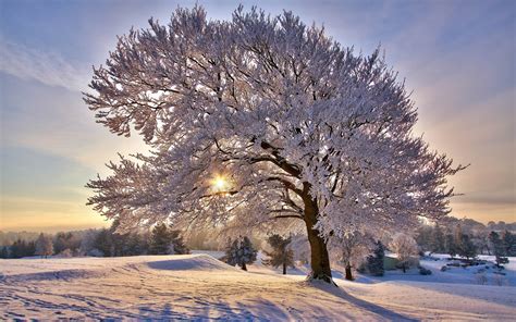 Beautiful Winter Morning Winter Landscape Desktop