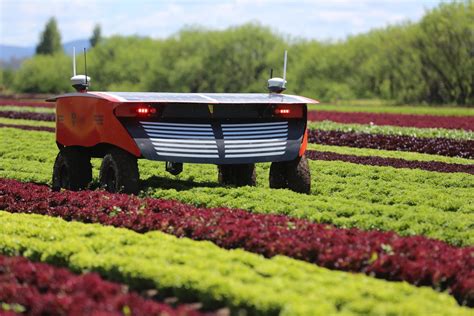 Advancing Robotics In The Australian Vegetable Industry Ausveg