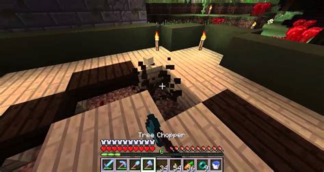 • minecraft dungeons jungle awakens • minecraft dungeons creeping. Codex Minecraft Server Survival | Episode 75: Some Sort of Building - YouTube