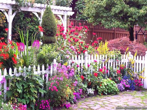 Check spelling or type a new query. Best Garden Flowers for Color all Summer - Acegardener