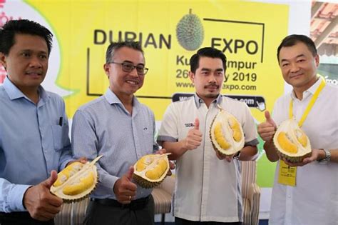We did not find results for: EKSPO DURIAN DI BUKIT KIARA EQUESTRIAN & COUNTRY RESORT
