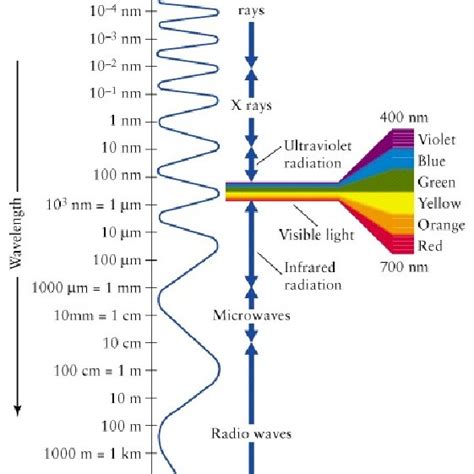 The Electromagnetic Spectrum Of Visible Wavelength From 400 Nm Until