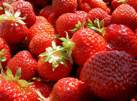 Freie kommerzielle nutzung keine namensnennung bilder in höchster qualität. Garten-Erdbeere