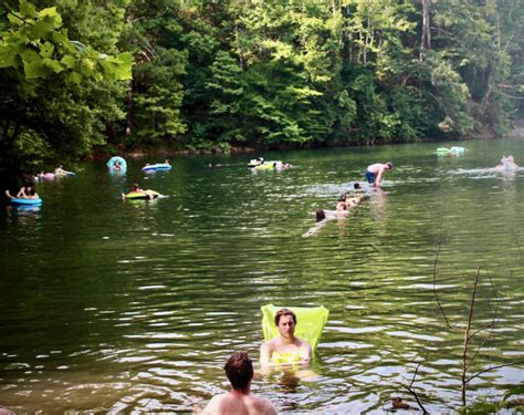 State Park Rangers Fell Trees To Thwart Cliff Jumpers At Eno Quarry