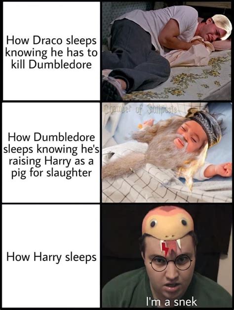 Poor Harry Rharrypotter