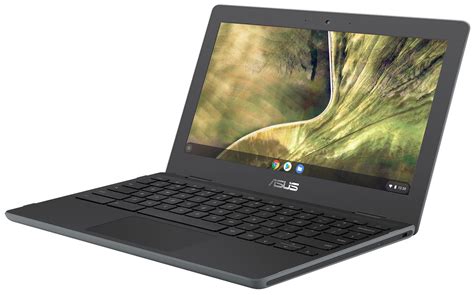 Asus Chromebook C204 · Celeron N4000 · Uhd Graphics 600 · 116” Hd