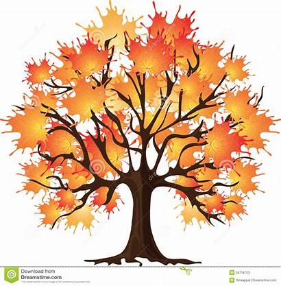 Autumn Tree Maple Clipart Ahornholz Esdoorn Herfstboom