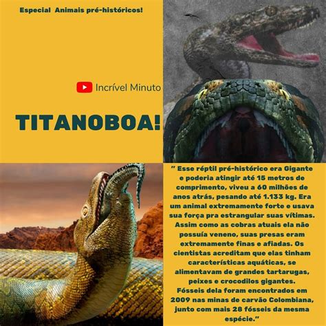 Titanoboa Animais Gigantes Pré História Animais Pré Históricos