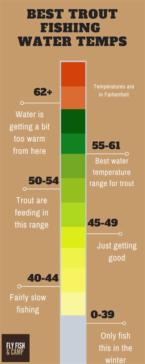 Best Time To Fly Fish For Trout Complete Guide Fly Fish Camp