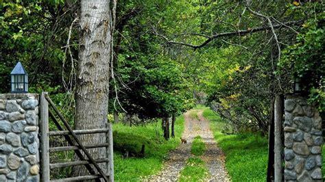 Green Grass Path Between Trees Stones Wood Gate Hd Nature