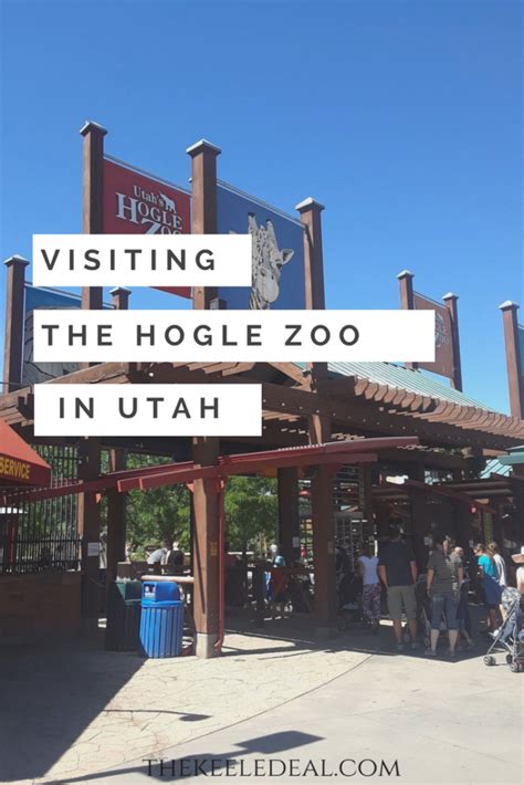 10 Things You Need To Do At The Hogle Zoo The Keele Deal Visit Utah