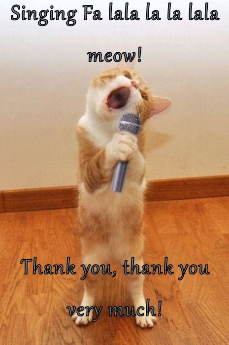 Thank You Thank You Very Much Lolcats Lol Cat Memes Funny Cats Funny Cat Pictures