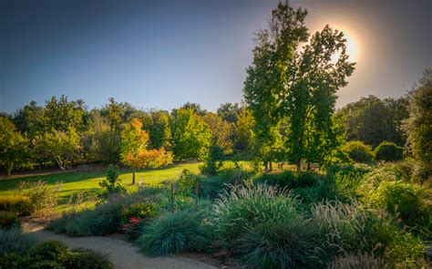 La County Arboretum Remembers Its November California Fall Color
