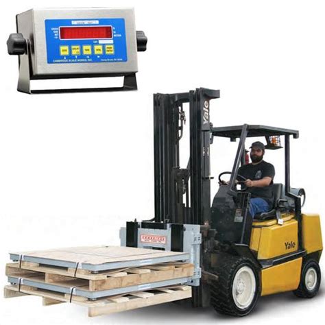 Cambridge Dl Csw 10at Lft 5k Legal For Trade 30 X 16 Electronic Lift