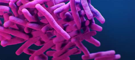 Researchers Develop Novel Therapy To Combat Antibiotic Resistant