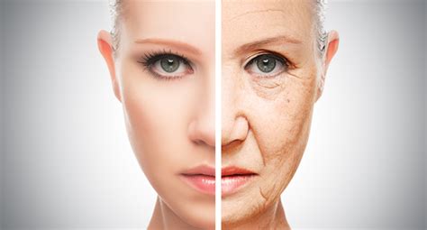 Causes Of Aging Skin Hearts Harmony