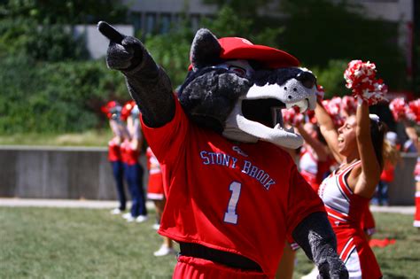 Stony Brooks Friendly Seawolf Nominated For Best Mascot On Long Island