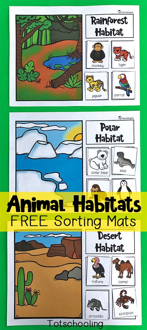Animal Habitats Printables For Preschool