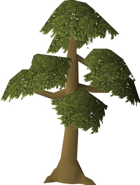Fileyew Tree Stage 7png Osrs Wiki