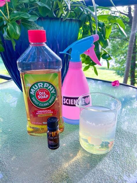 This Is Such An Easy Diy Insecticidal Spray For Your Plants You Are
