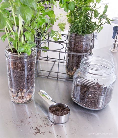 Diy Indoor Mason Jar Herb Garden Serving Up Mason Jar