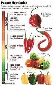 Latin American Cook Chili Peppers Our Gift To The World