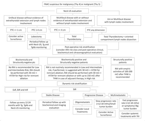 Suggested Algorithm For The Management Of Differentiated Thyroid